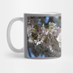 Cherry Blossoms Mug